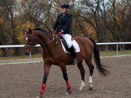 IMG_0382-138_web